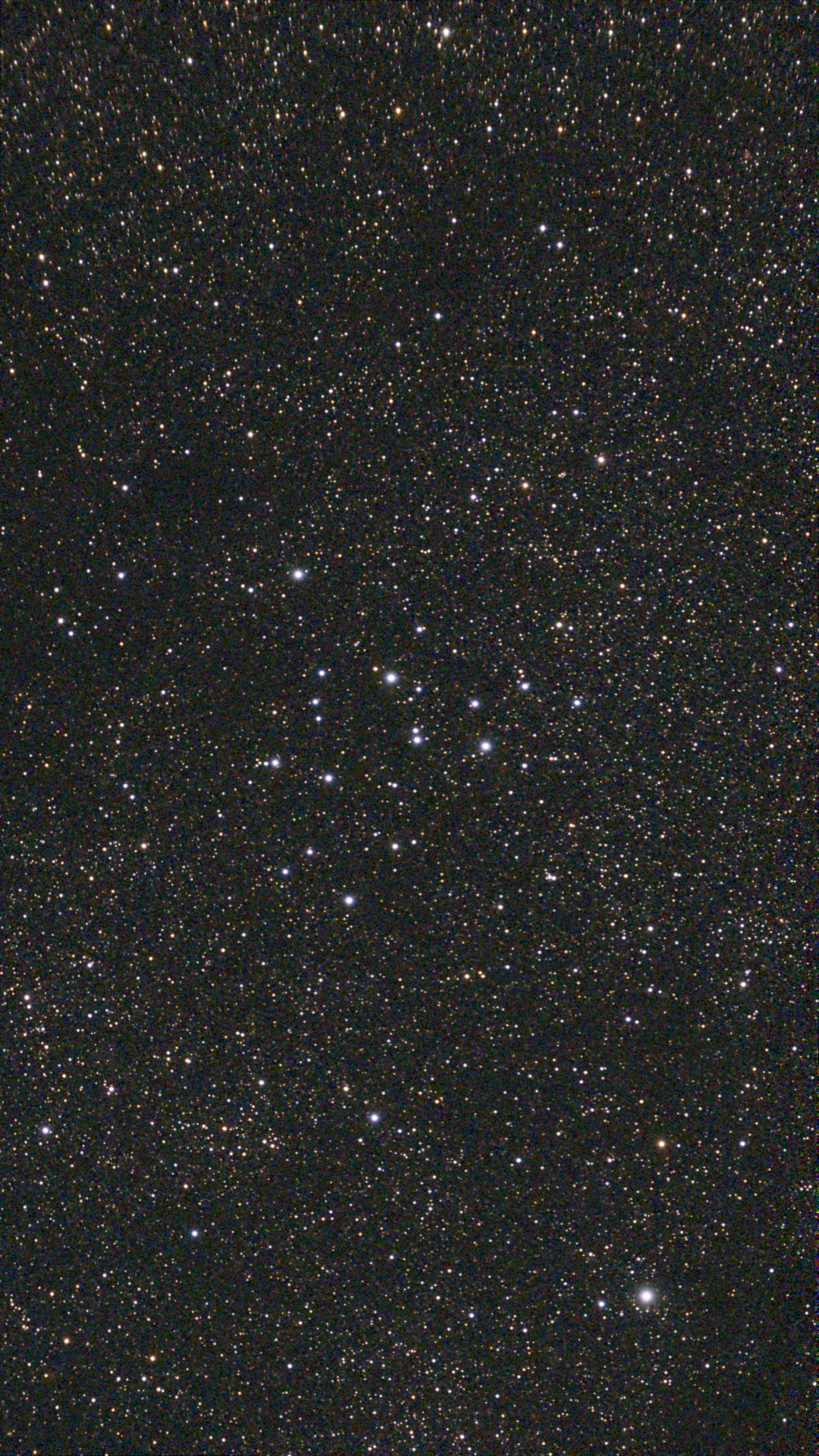 M39 - Open Cluster