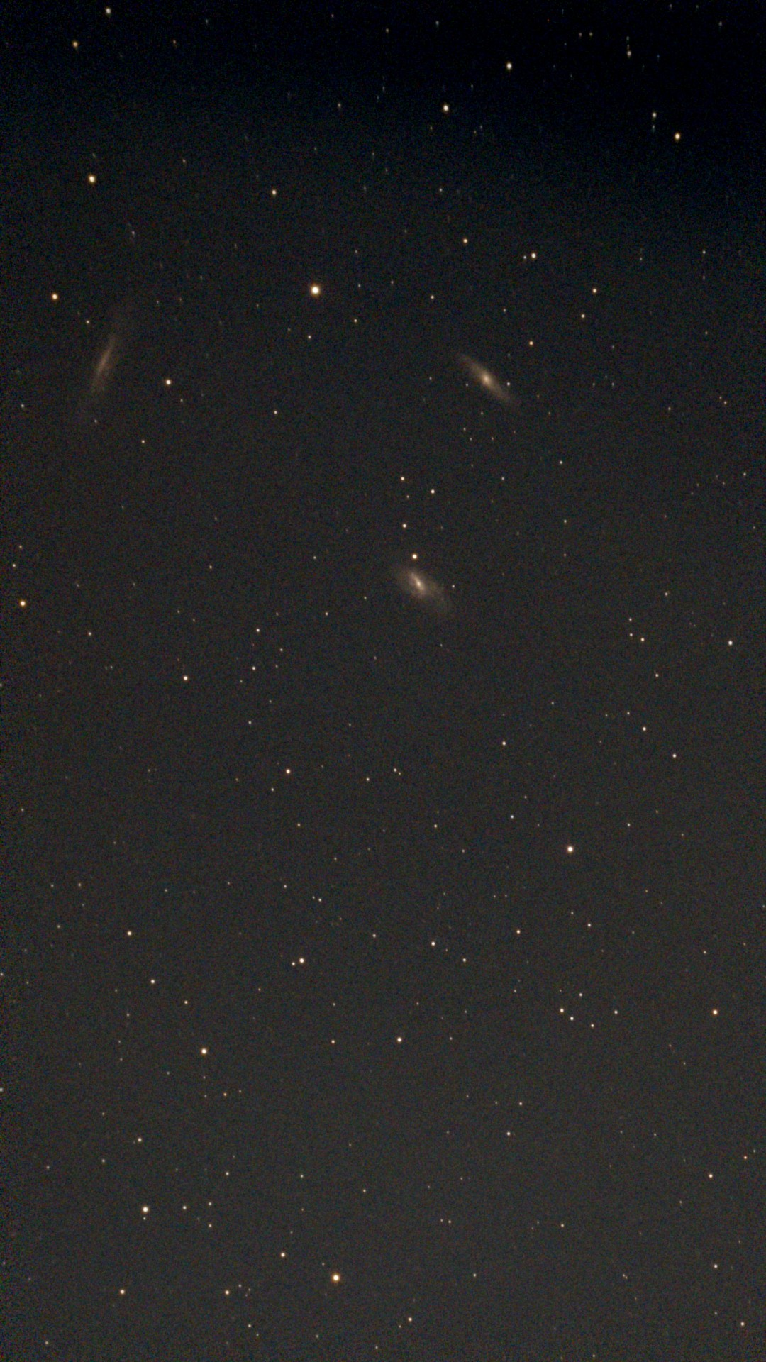NGC 3628