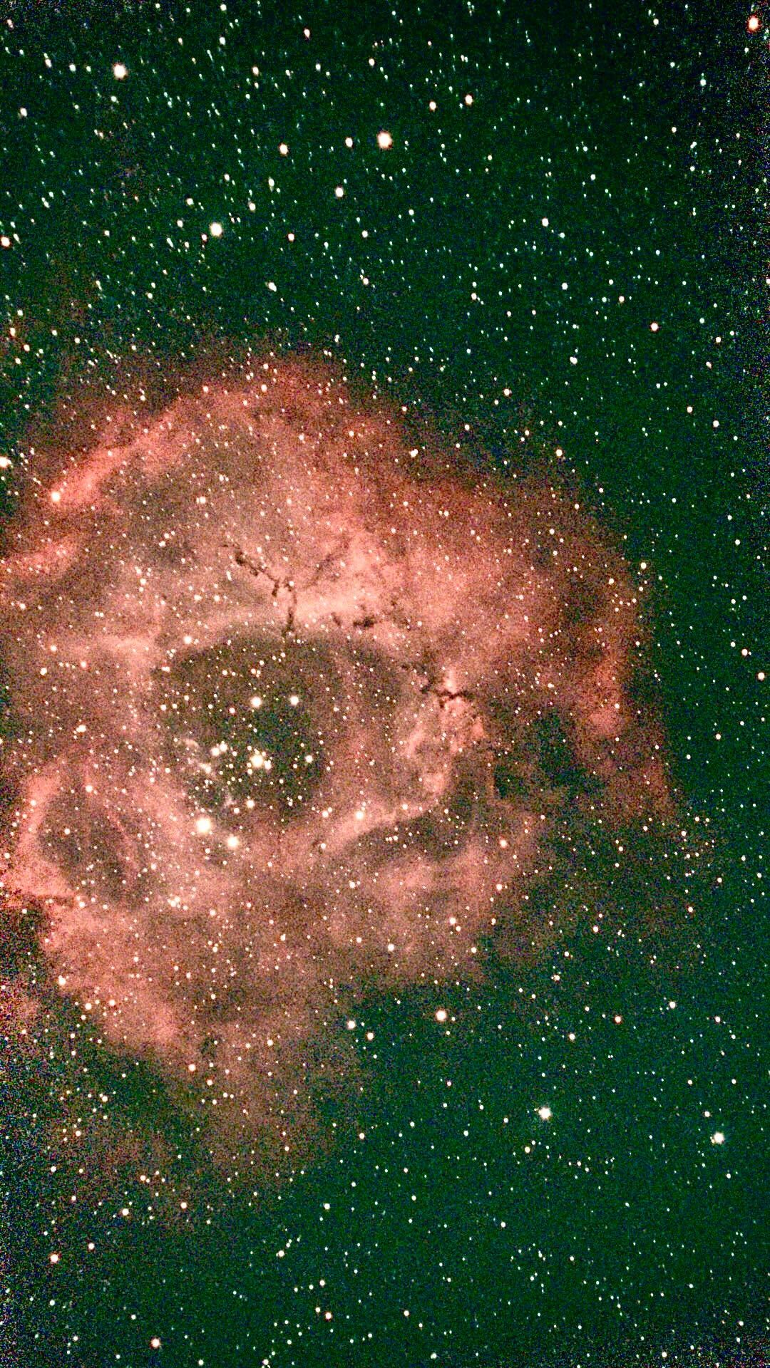 NGC 2244