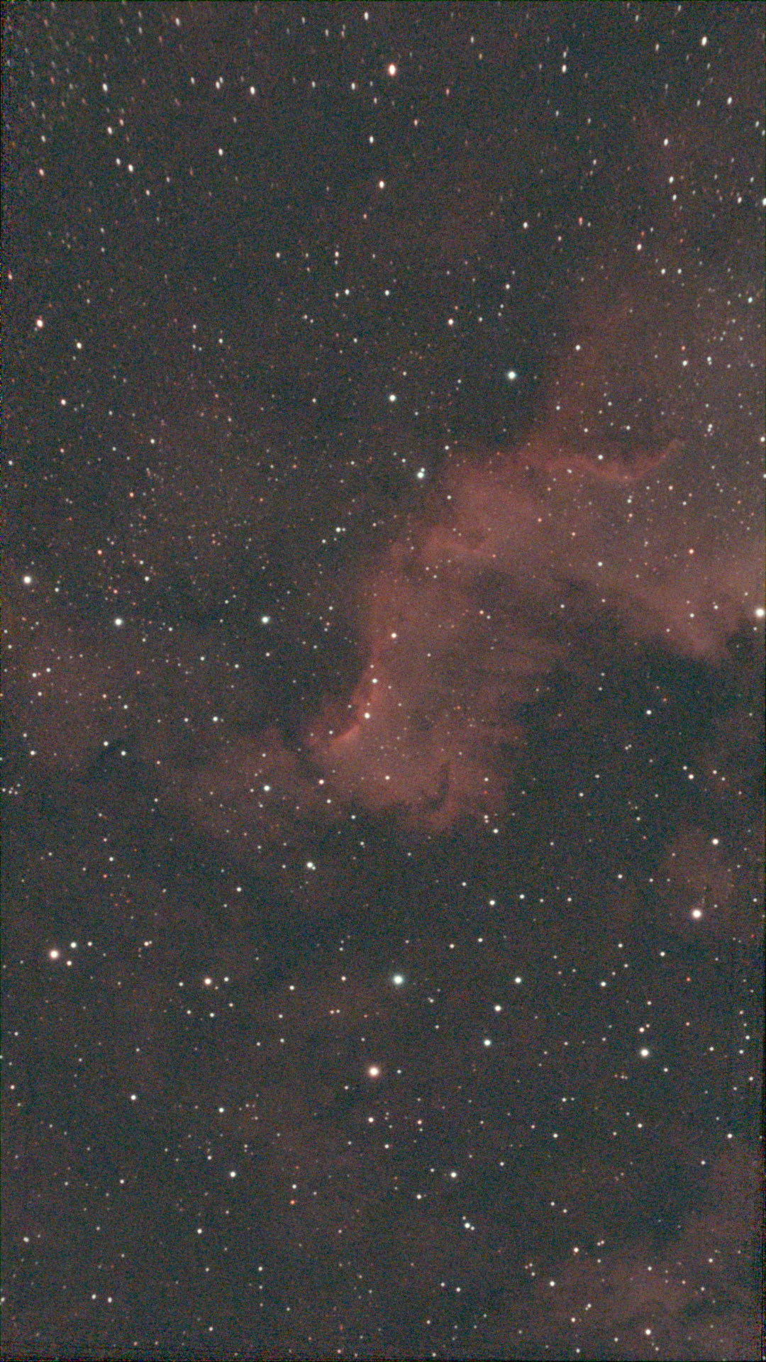 NGC 7000